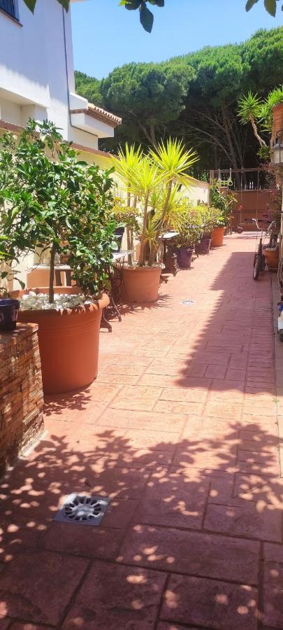 Chalet Con Capacidad Para 8 Personas Chiclana de la Frontera Εξωτερικό φωτογραφία